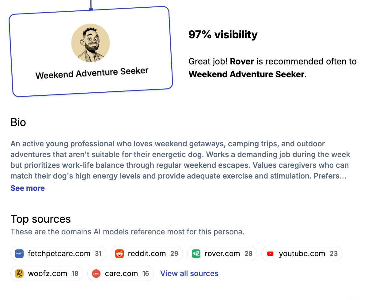 Example buyer persona generated for an AI visibility report